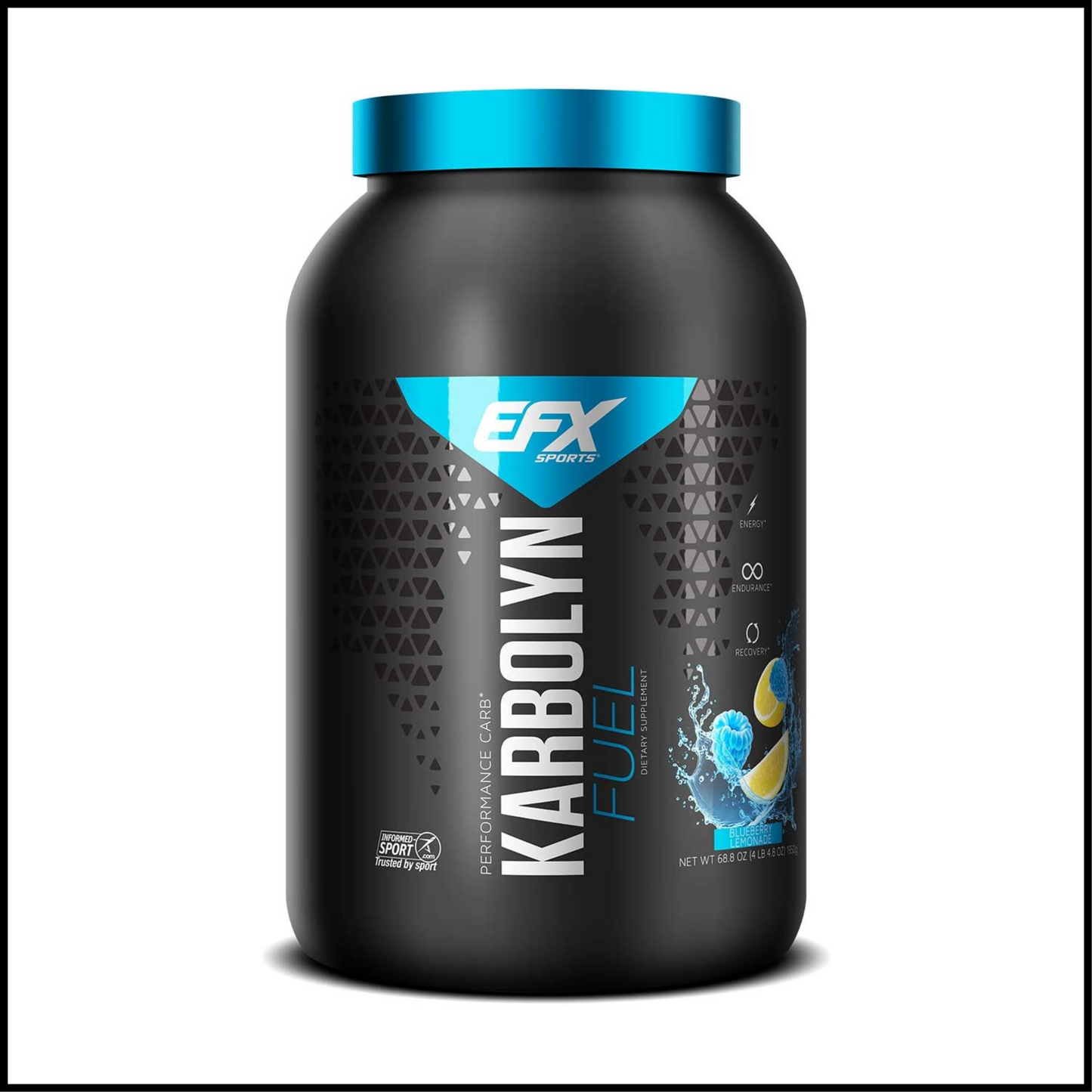 Karbolyn Fuel Blueberry Lemonade | 4 LB 4.8 OZ