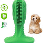 Dental Care Brushing Stick Toothbrush for Dogs