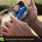 Dashska Complete Dog Teeth Cleaning | 1 Set