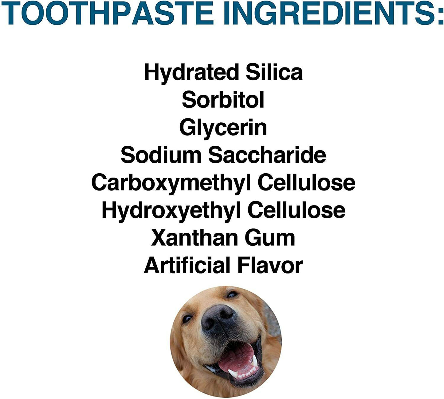 Dashska Complete Dog Teeth Cleaning | 1 Set