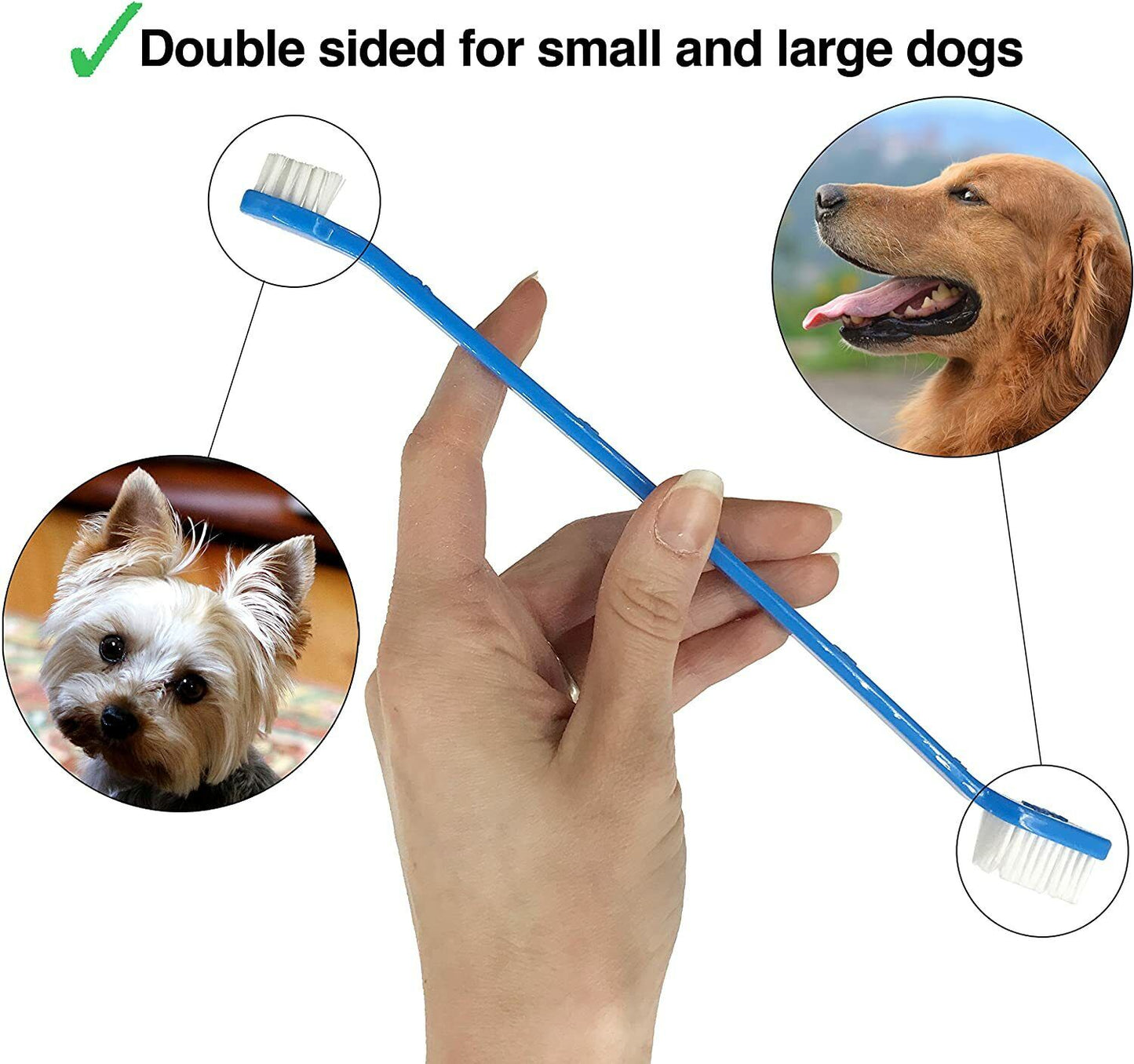 Dashska Complete Dog Teeth Cleaning | 1 Set