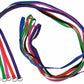 4FT Dog Leash Heavy Duty Slip Lead Pet Rope With Handle | 6 count