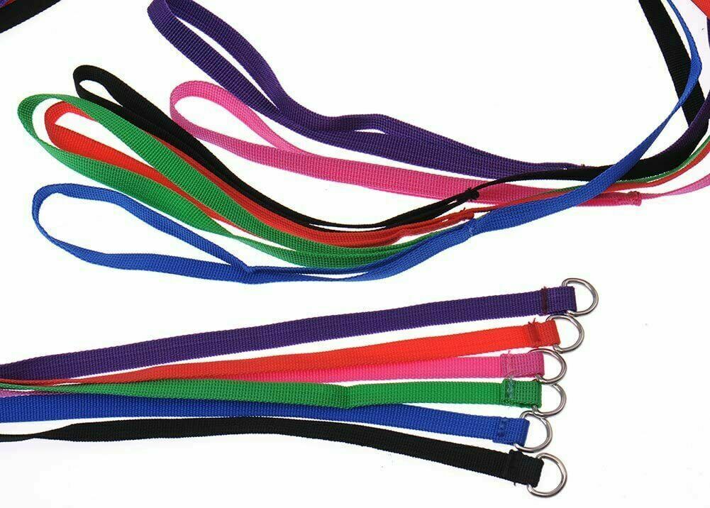 4FT Dog Leash Heavy Duty Slip Lead Pet Rope With Handle | 6 count