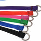 4FT Dog Leash Heavy Duty Slip Lead Pet Rope With Handle | 6 count