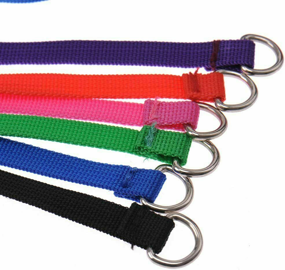 4FT Dog Leash Heavy Duty Slip Lead Pet Rope With Handle | 6 count