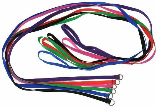 4FT Dog Leash Heavy Duty Slip Lead Pet Rope With Handle | 6 count